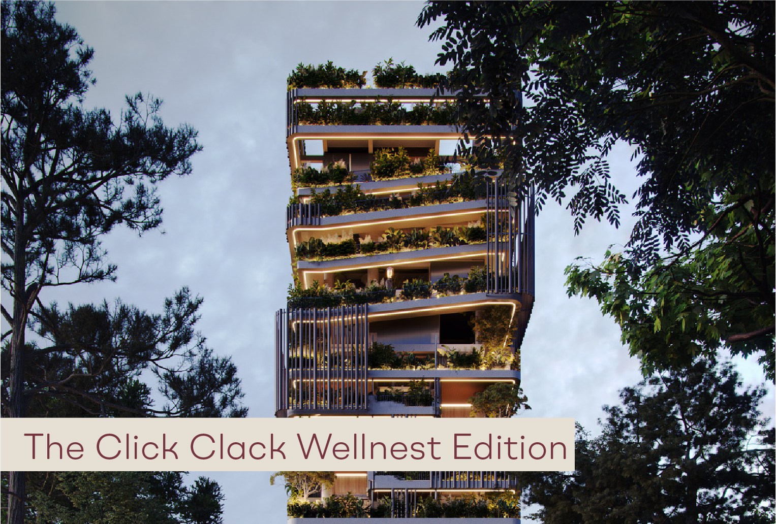 The Click Clack Wellnest Edition